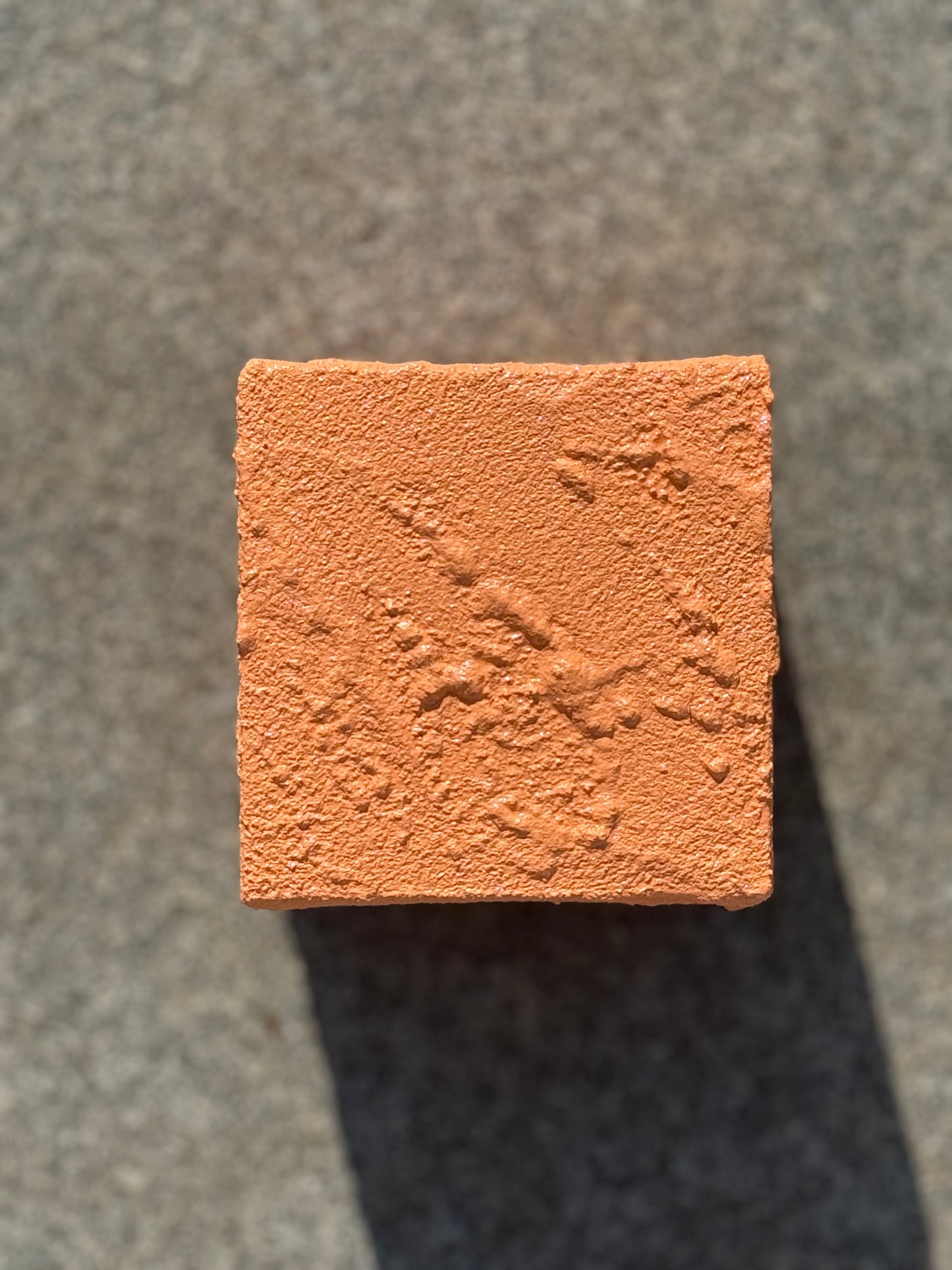 « CORAIL » 2026 #1.4